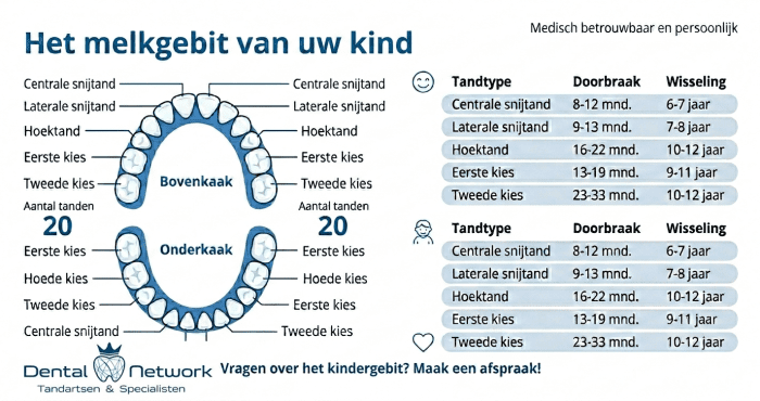 Melkgebit bij kinderen: wanneer groeien welke tanden?